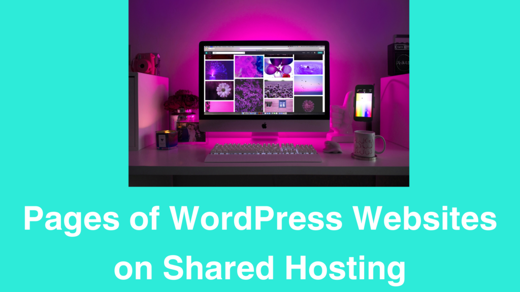 Pages of WordPress Websites on Shared Hosting